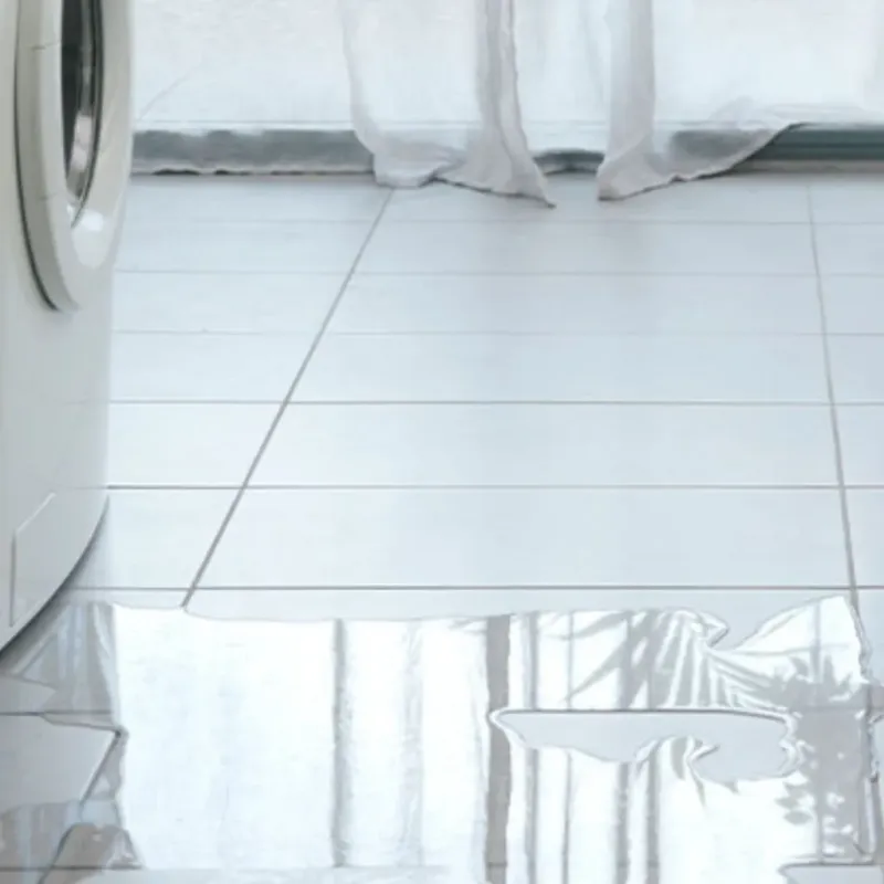 Appliance Leak Cleanup in Smithland, KY