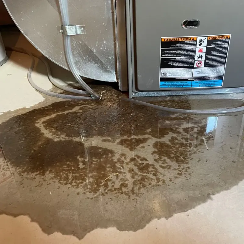 Pipe Burst and Leak Restoration in Smithland, KY