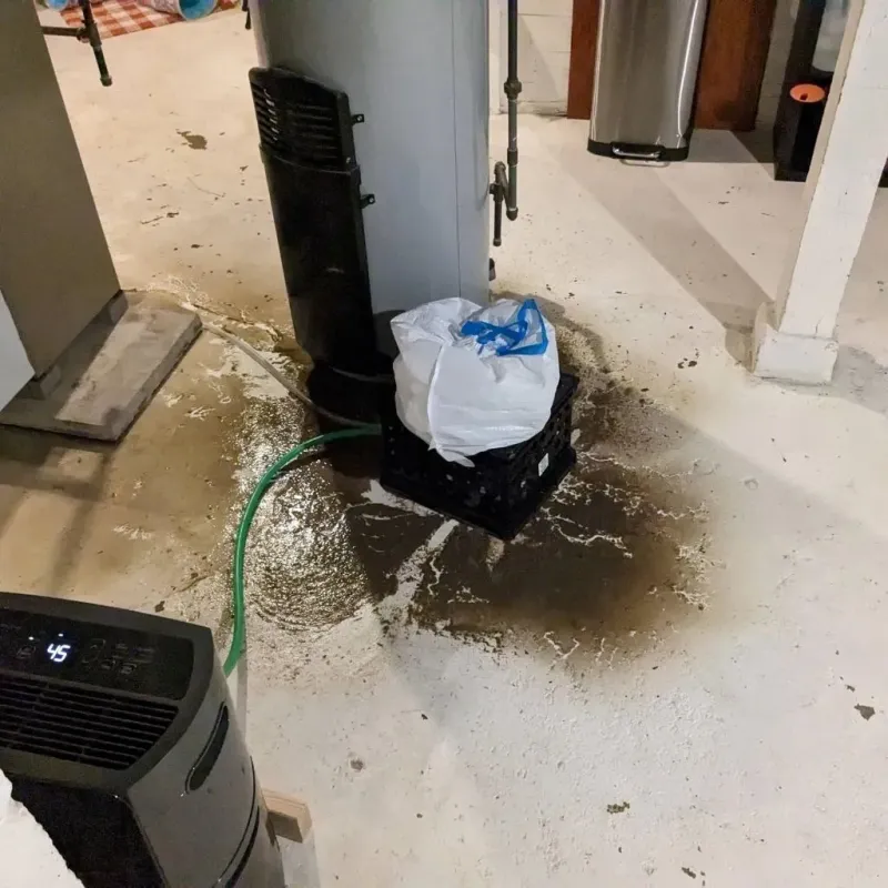 Sewage Backup Cleanup Service in Smithland, KY